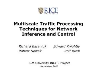 Multiscale Traffic Processing Techniques for Network Inference and Control