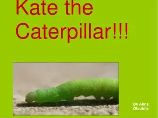 Kate the Caterpillar!!!