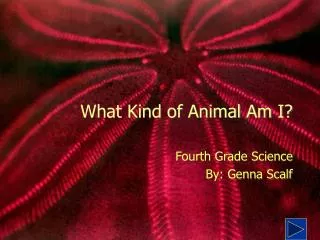 What Kind of Animal Am I?