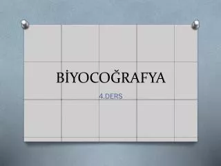 b yoco rafya