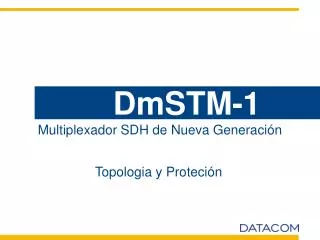 DmSTM-1