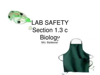 LAB SAFETY Section 1.3 c Biology Mrs. Baldessari