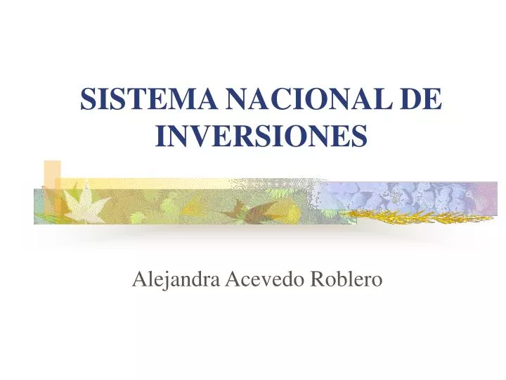 sistema nacional de inversiones