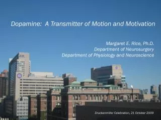 Dopamine:  A Transmitter of Motion and Motivation Margaret E. Rice, Ph.D.