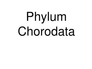 Phylum Chorodata