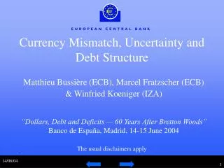 Currency Mismatch, Uncertainty and Debt Structure