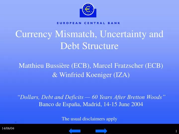 currency mismatch uncertainty and debt structure