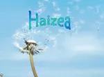 Haizea - slide 1