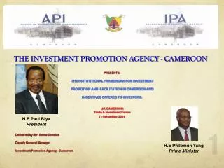 THE INVESTMENT PROMOTION AGENCY - CAMEROON
