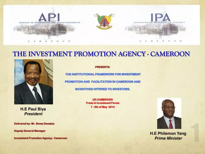 the investment promotion agency cameroon