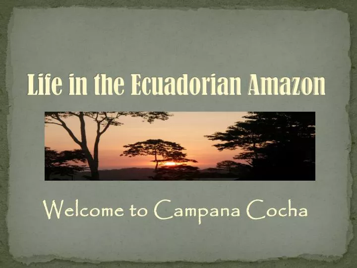 life in the ecuadorian amazon