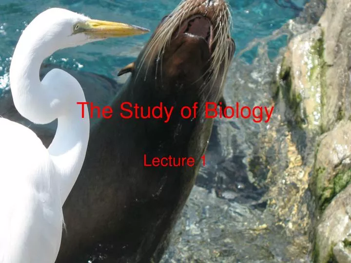 the study of biology