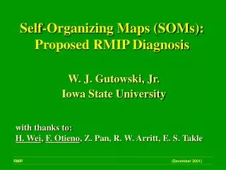 Self-Organizing Maps (SOMs): Proposed RMIP Diagnosis