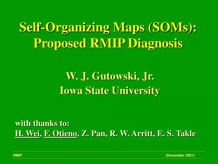 self organizing maps soms proposed rmip diagnosis