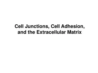 Cell Junctions, Cell Adhesion, and the Extracellular Matrix
