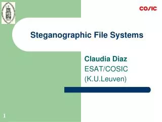 Steganographic File Systems