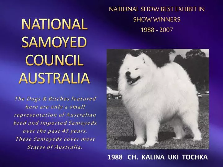 national samoyed council australia