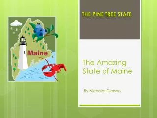The Amazing State of Maine