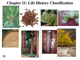 Chapter 11: Life History Classification