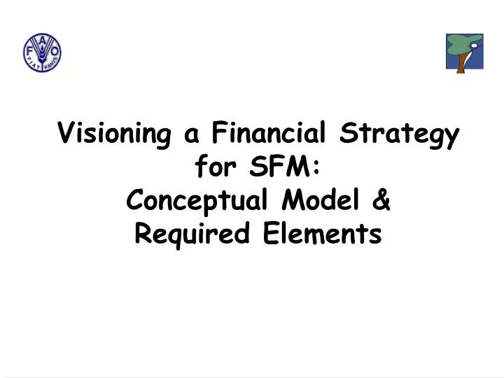 visioning a financial strategy for sfm conceptual model required elements