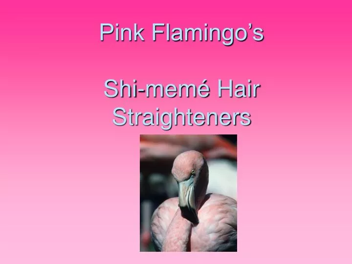 pink flamingo s shi mem hair straighteners