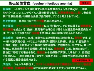 馬伝染性貧血 ( equine infectious anemia ) 　　　　　お