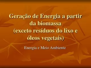 Geração de Energia a partir da biomassa (exceto resíduos do lixo e óleos vegetais)