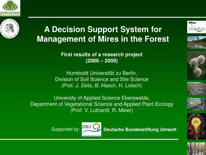 a decision support system for management of mires in the forest