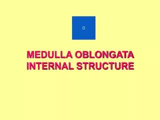 MEDULLA OBLONGATA INTERNAL STRUCTURE