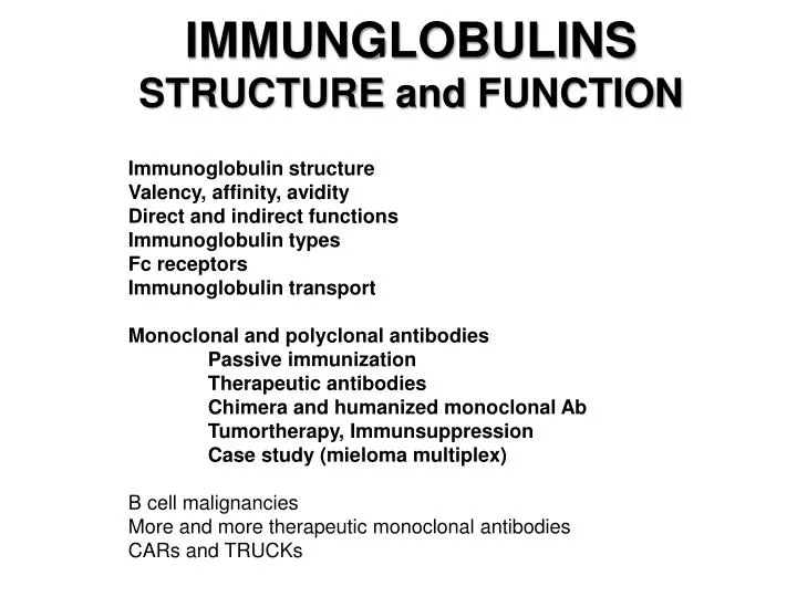 immunglobulins structure and function