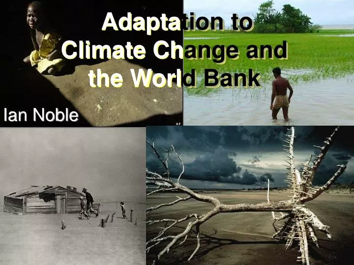adapta tion to climate ch ange and the worl d bank