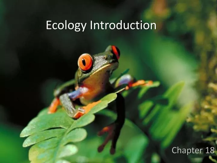 ecology introduction