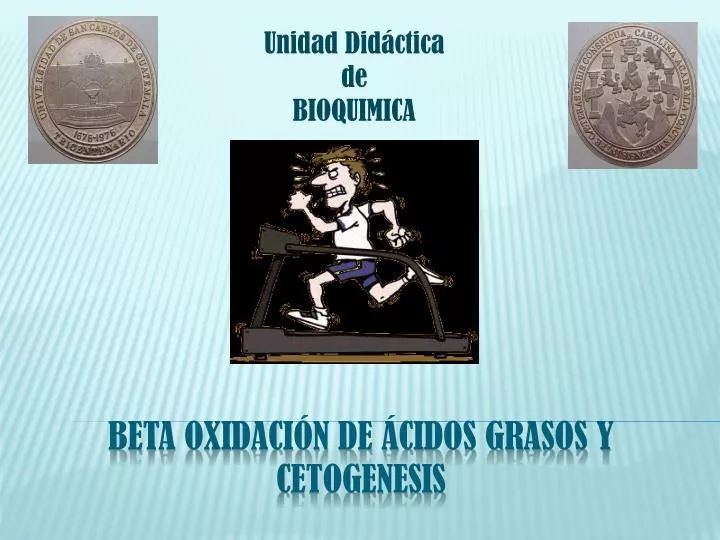 beta oxidaci n de cidos grasos y cetogenesis