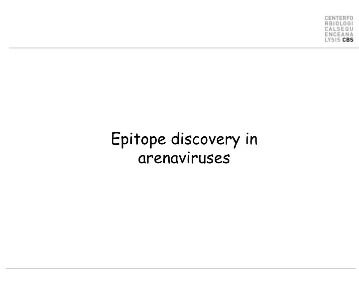 epitope discovery in arenaviruses