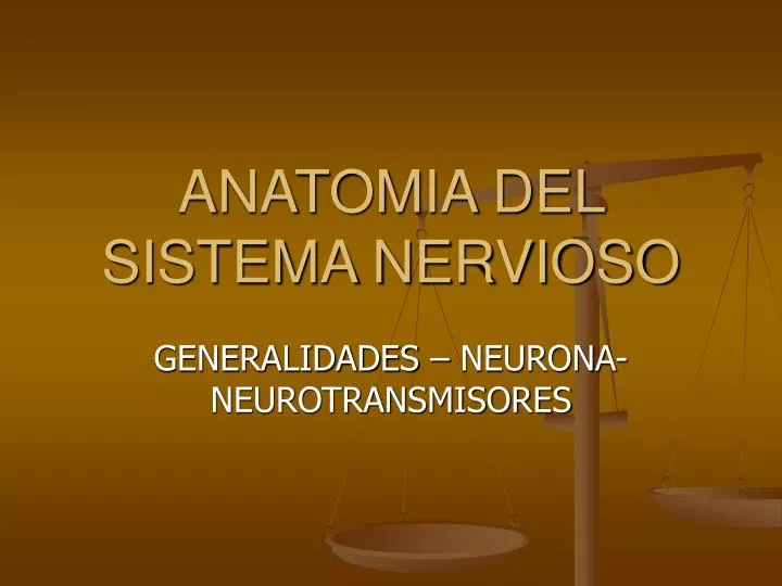 anatomia del sistema nervioso
