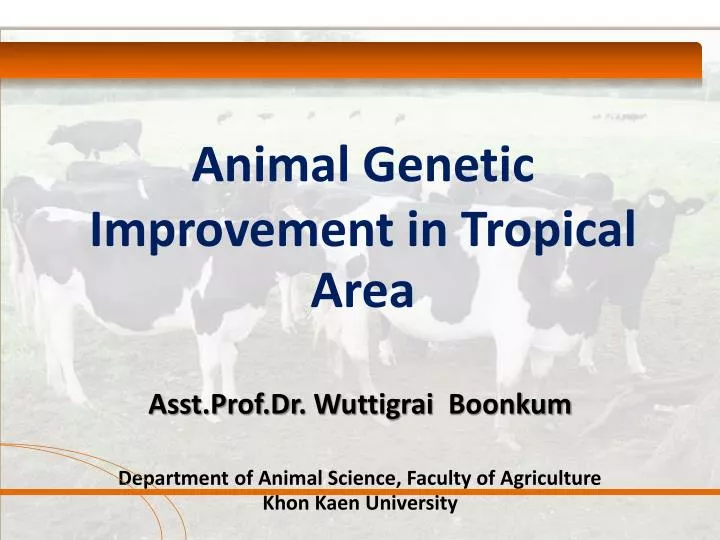 animal genetic improvement in tropical area