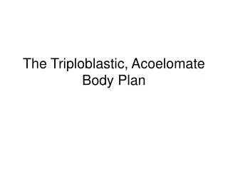 The Triploblastic, Acoelomate Body Plan