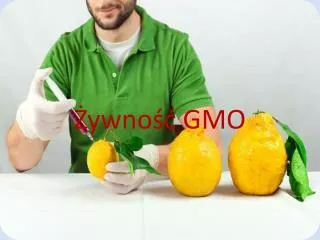 Żywność GMO
