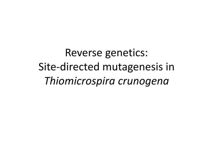 reverse genetics site directed mutagenesis in thiomicrospira crunogena