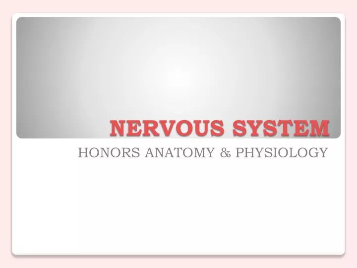 nervous system