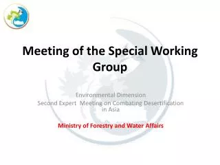 Meeting of the Special Working Group