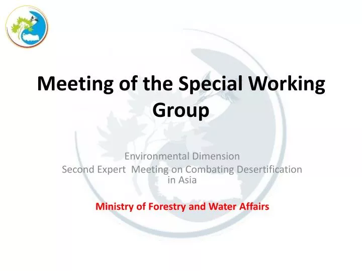 meeting of the special working group
