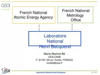 French National Atomic Energy Agency