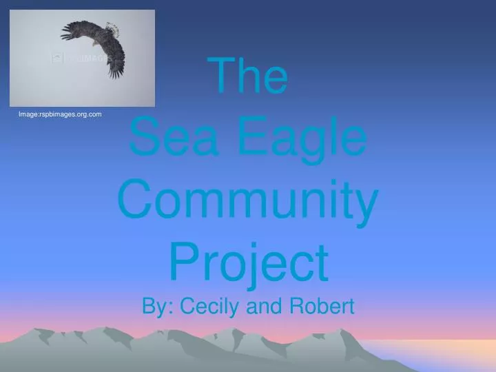 the sea eagle community project by cecily and robert