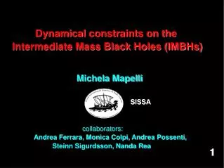 Dynamical constraints on the Intermediate Mass Black Holes (IMBHs)