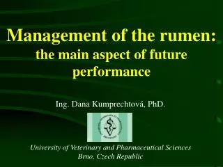 Management of the rumen: the main aspect of future performance