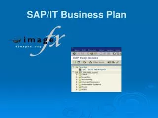SAP/IT Business Plan