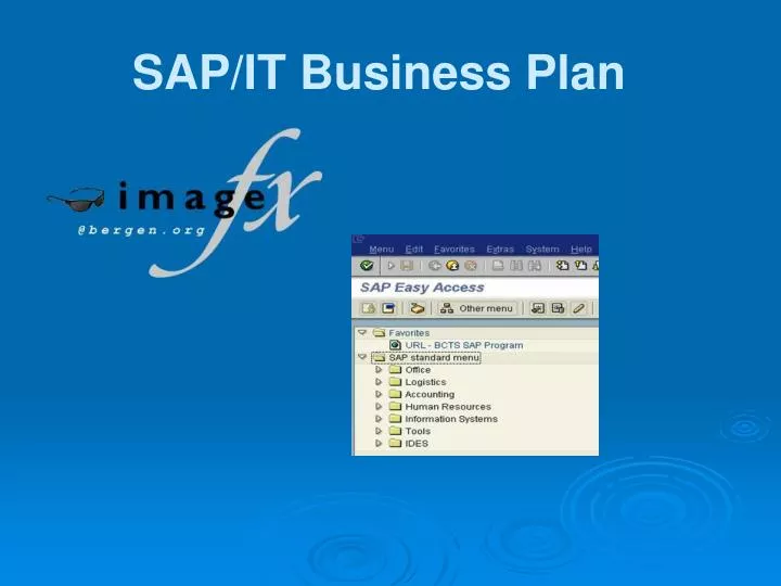 sap it business plan