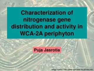 Characterization of nitrogenase gene distribution and activity in WCA-2A periphyton