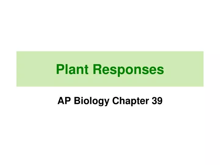 plant responses